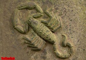 نمادشناسی عقرب